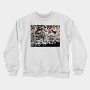 Forest Sun Rays in the Snow  #35 Crewneck Sweatshirt